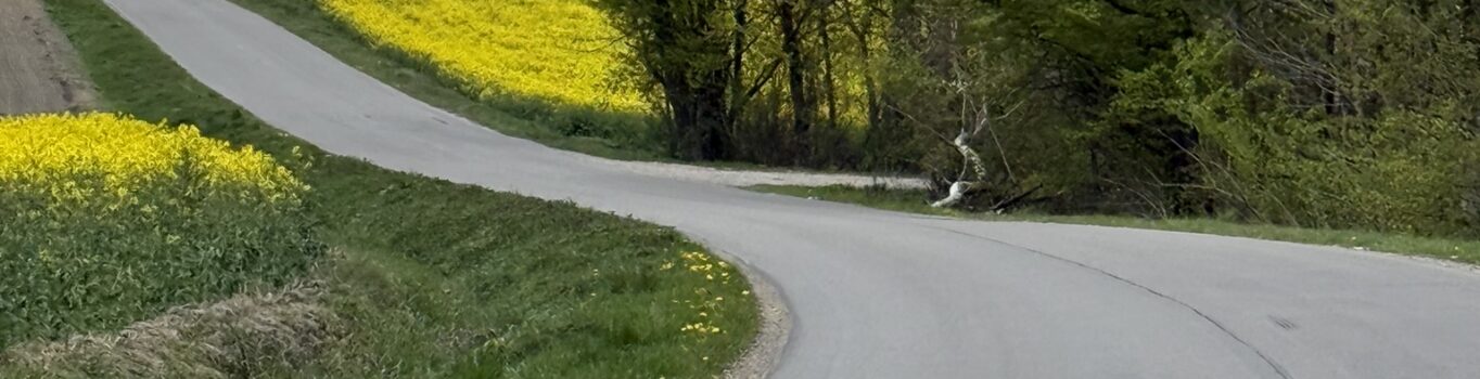 Hrubieszów, Goci i Roztocze