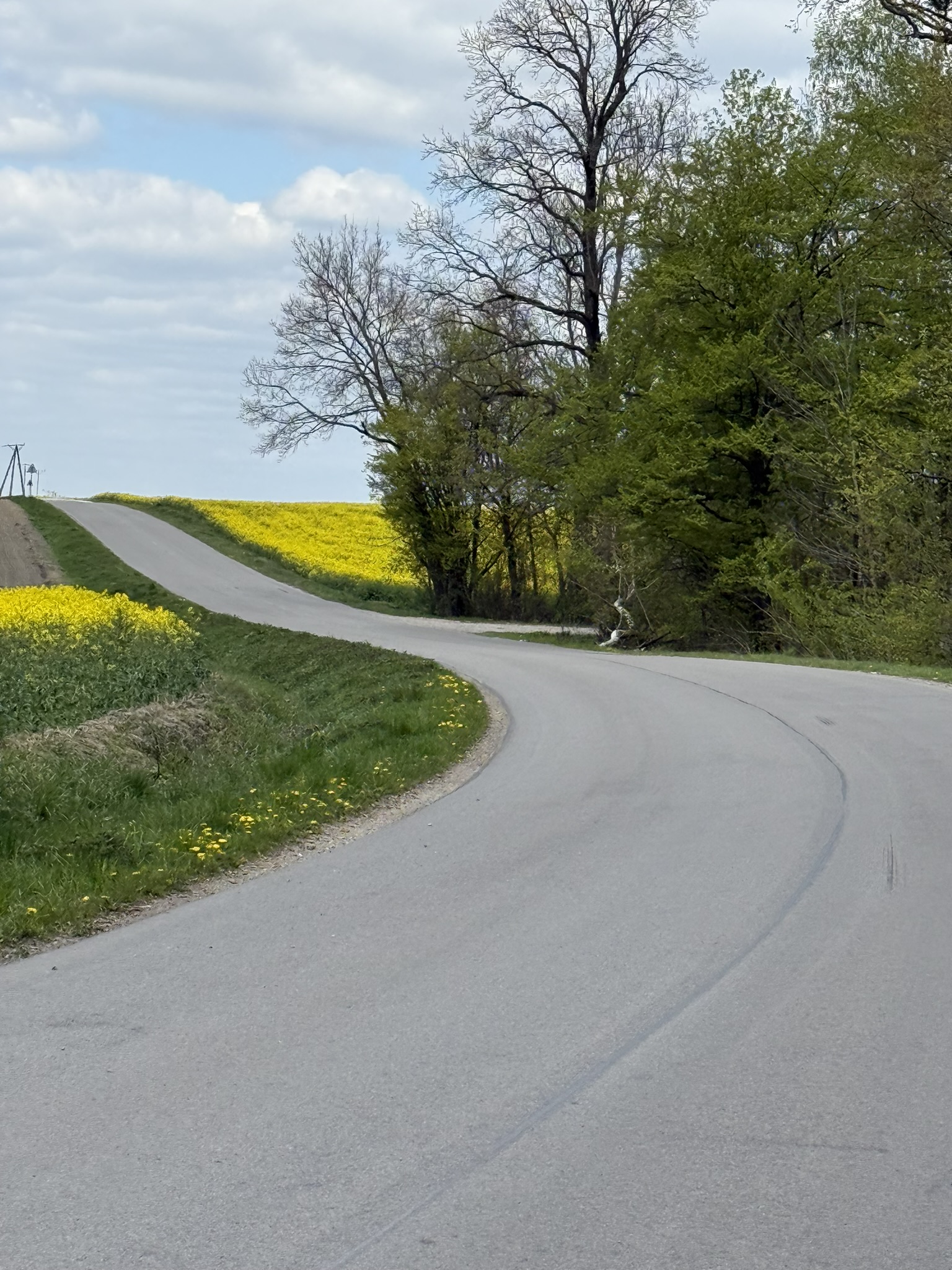 Hrubieszów, Goci i Roztocze